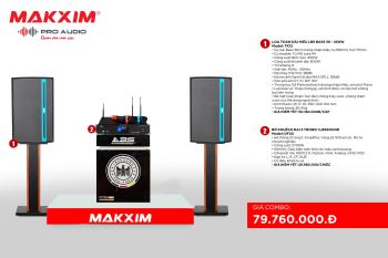 COMBO LOA LBS (LBSsound pro audio) TK12 + DF20