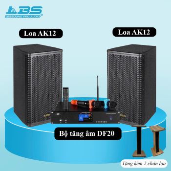 COMBO LOA LBS (LBSsound pro audio) AK12 + DF20