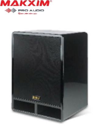 LOA SUB LBS (LBSsound pro audio) TFB15
